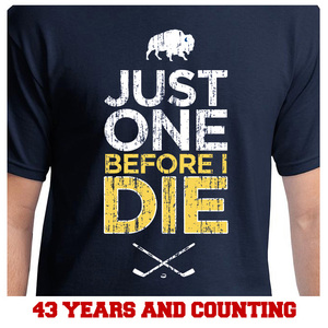sabres2