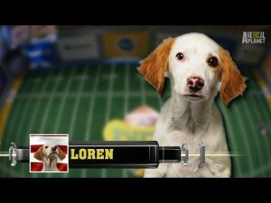 puppybowl2