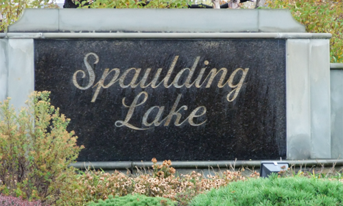 spaulding