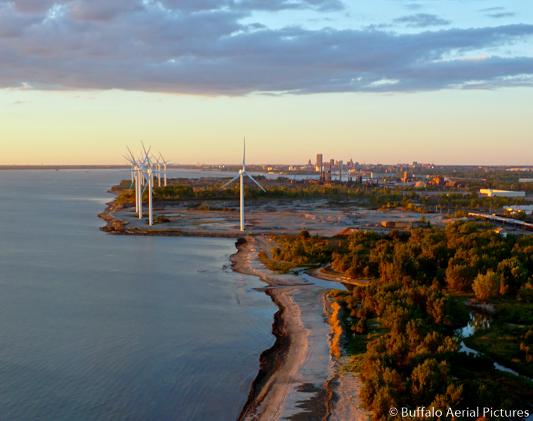 Buffalo Drone Photo